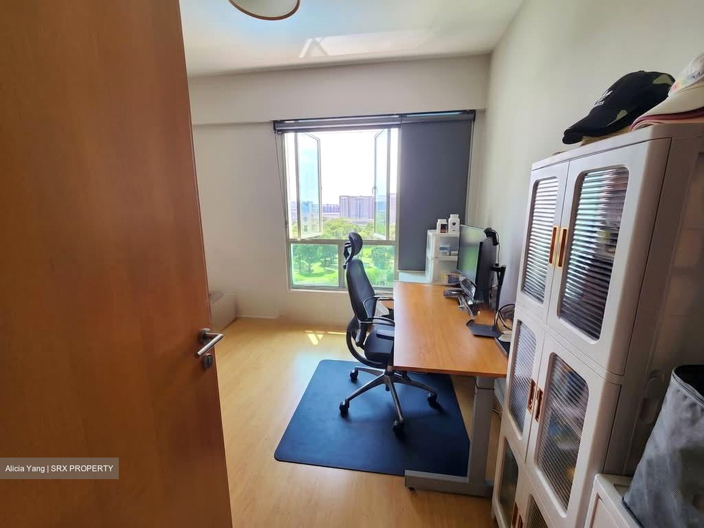 The Clearwater (D16), Condominium #573688441
